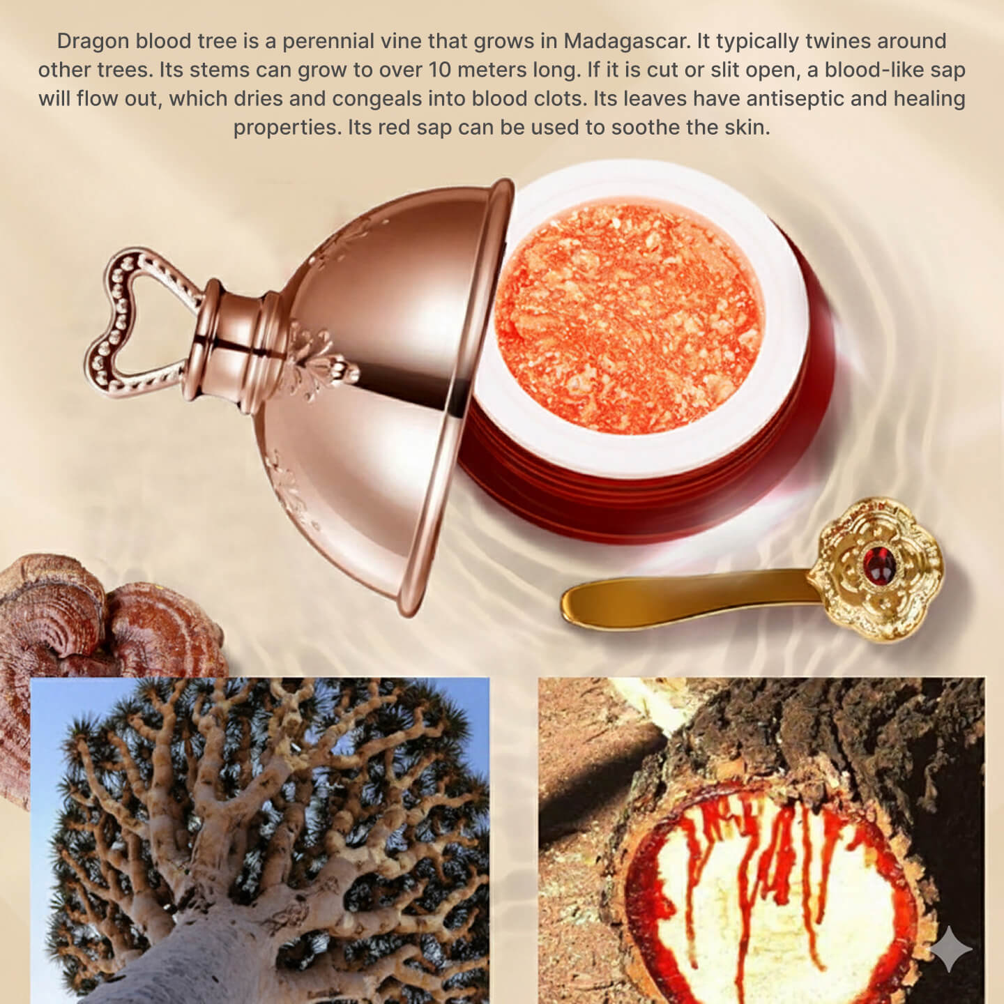 Royal Dragon Blood Cream - Velisse -
